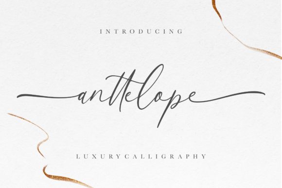 Anttelope: A Romantic Script Font for Editorial Design