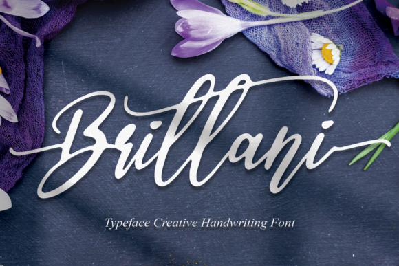 Brittani Font: A Designer’s Campaign Review