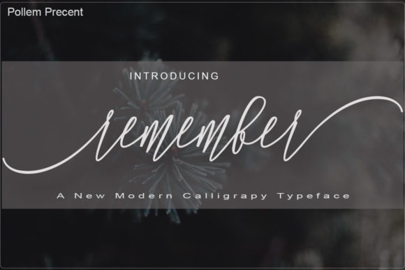 Remember: A Calligraphic Script Font for Poetic Branding