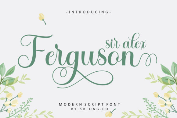 Sir Alex Ferguson: A Romantic Script Font for Web Design